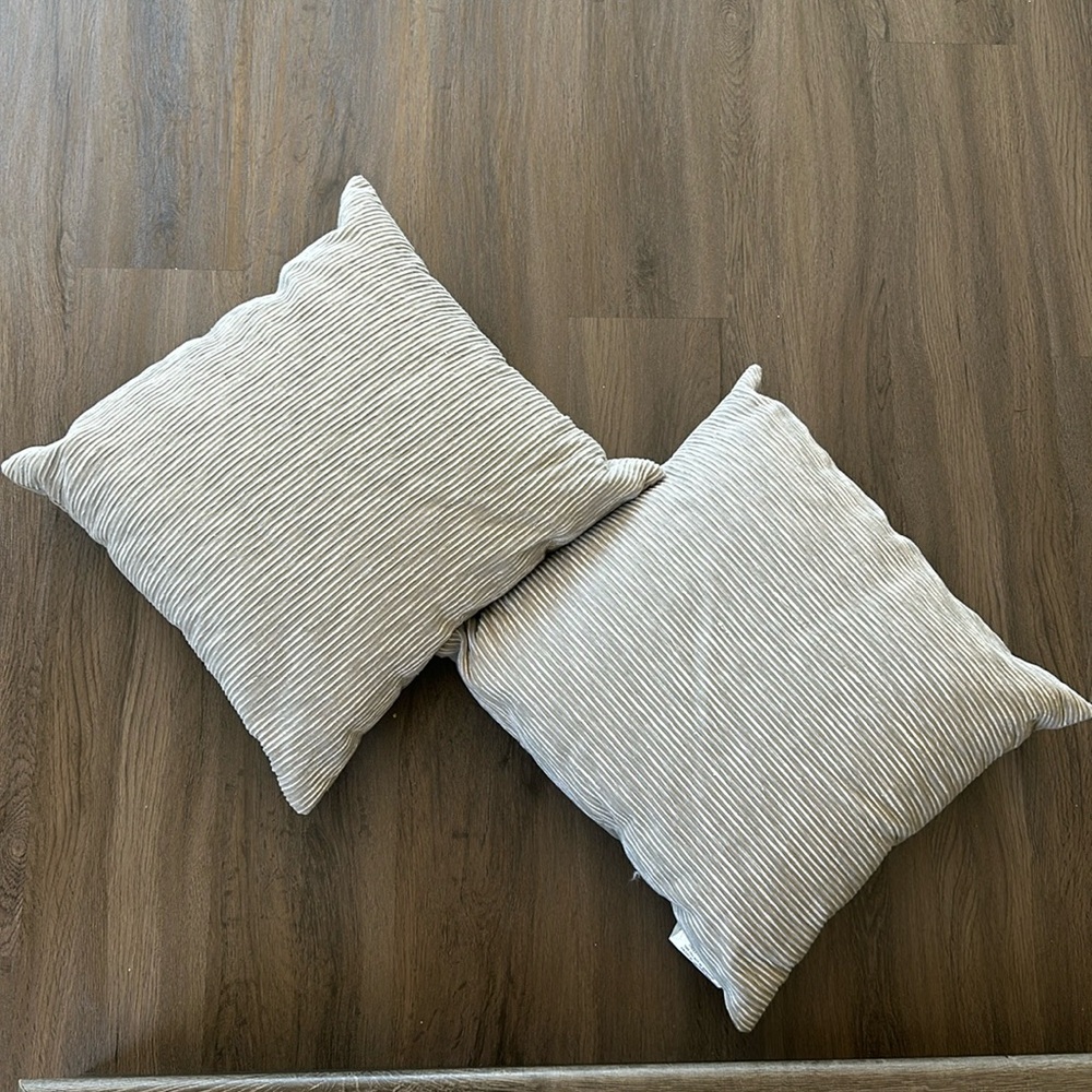 Gray Pillows (Set of 2)